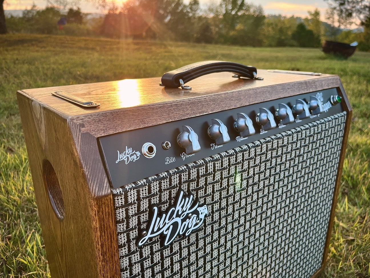 Lucky Dog Lil Scrapper β Keytone Amplification