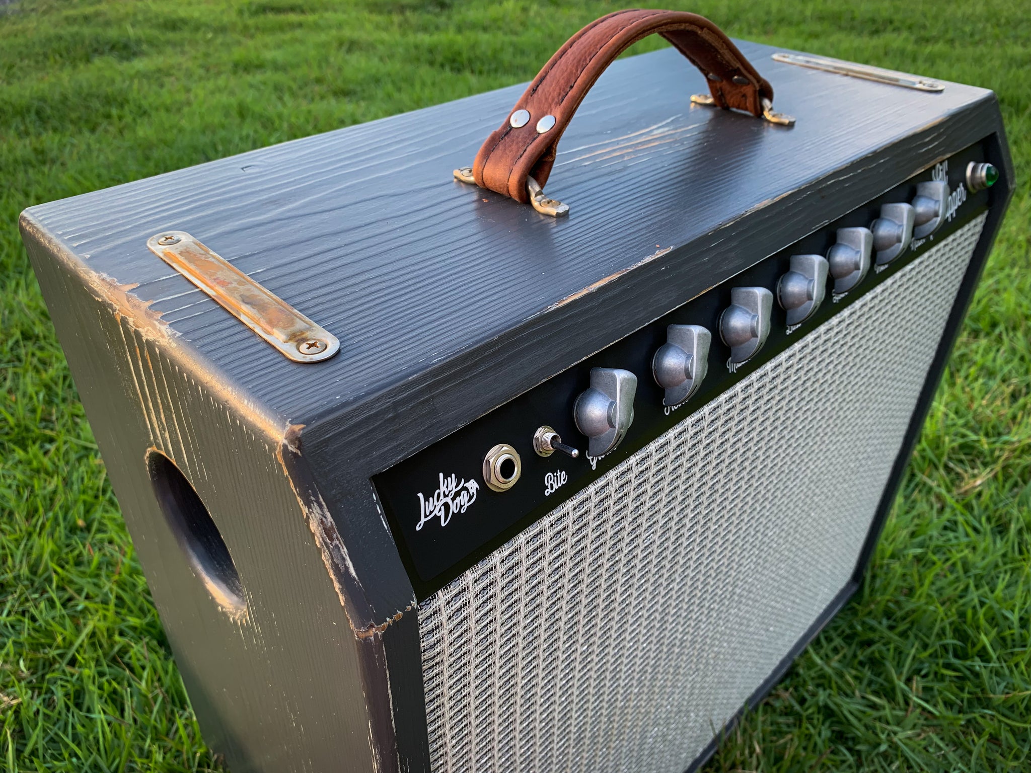 Lucky Dog Lil Scrapper β Keytone Amplification